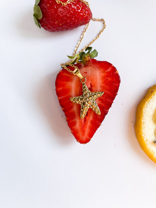 Колие ''Sea star'' от медицинска стомана 316L